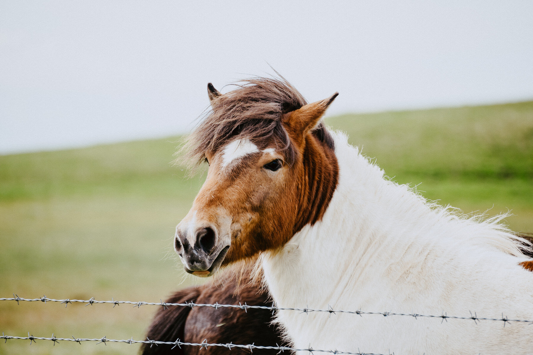 sIceland 2019 - Days 3+4 - Life In My Lens Photo-24.jpg