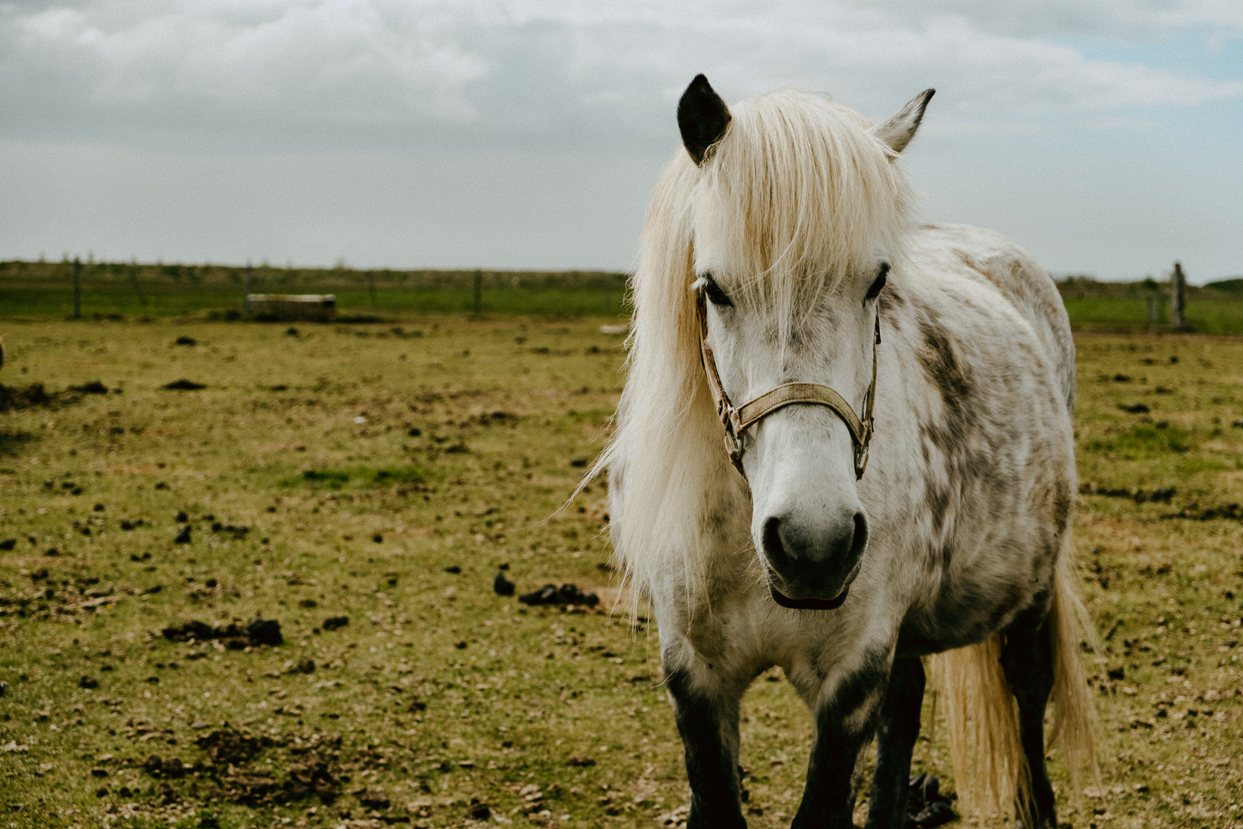 sIceland 2019 - Days 5+6 - Life In My Lens Photo-174.jpg