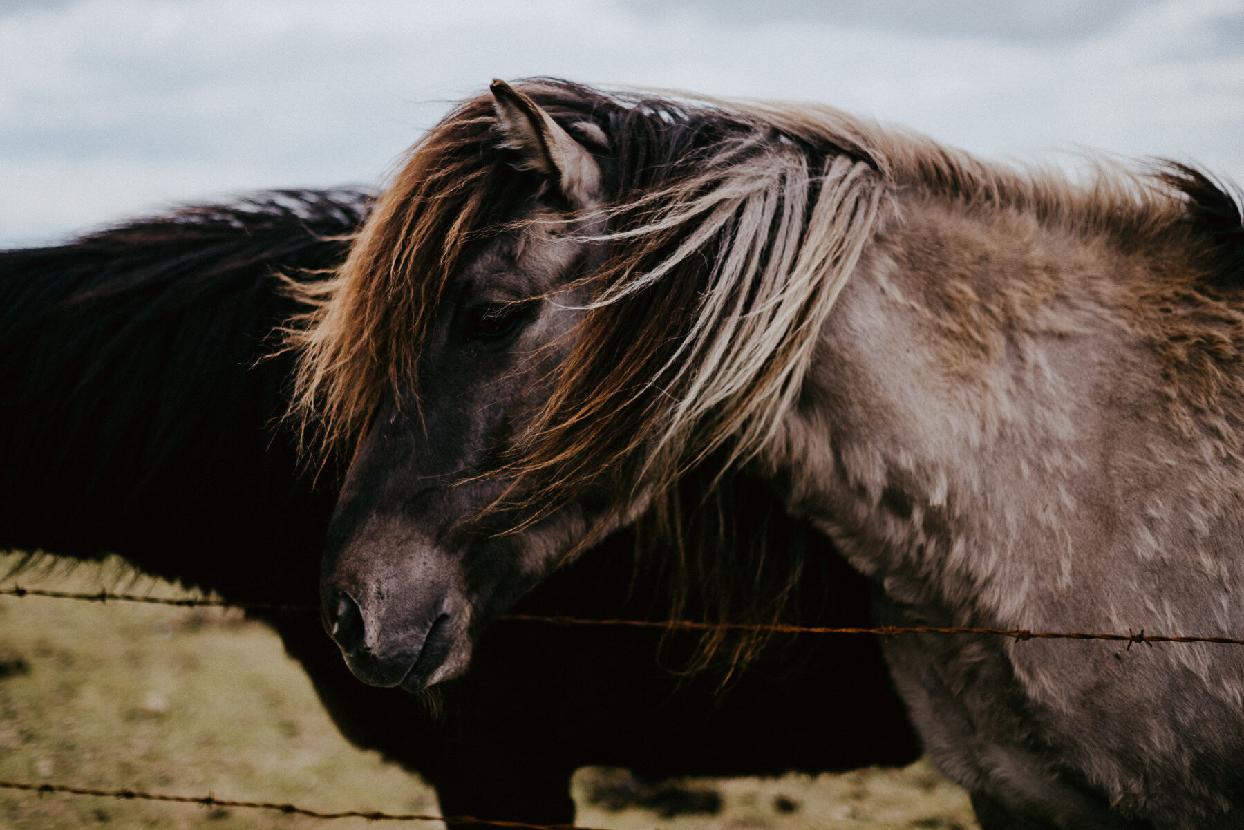 sIceland 2019 - Days 5+6 - Life In My Lens Photo-191.jpg