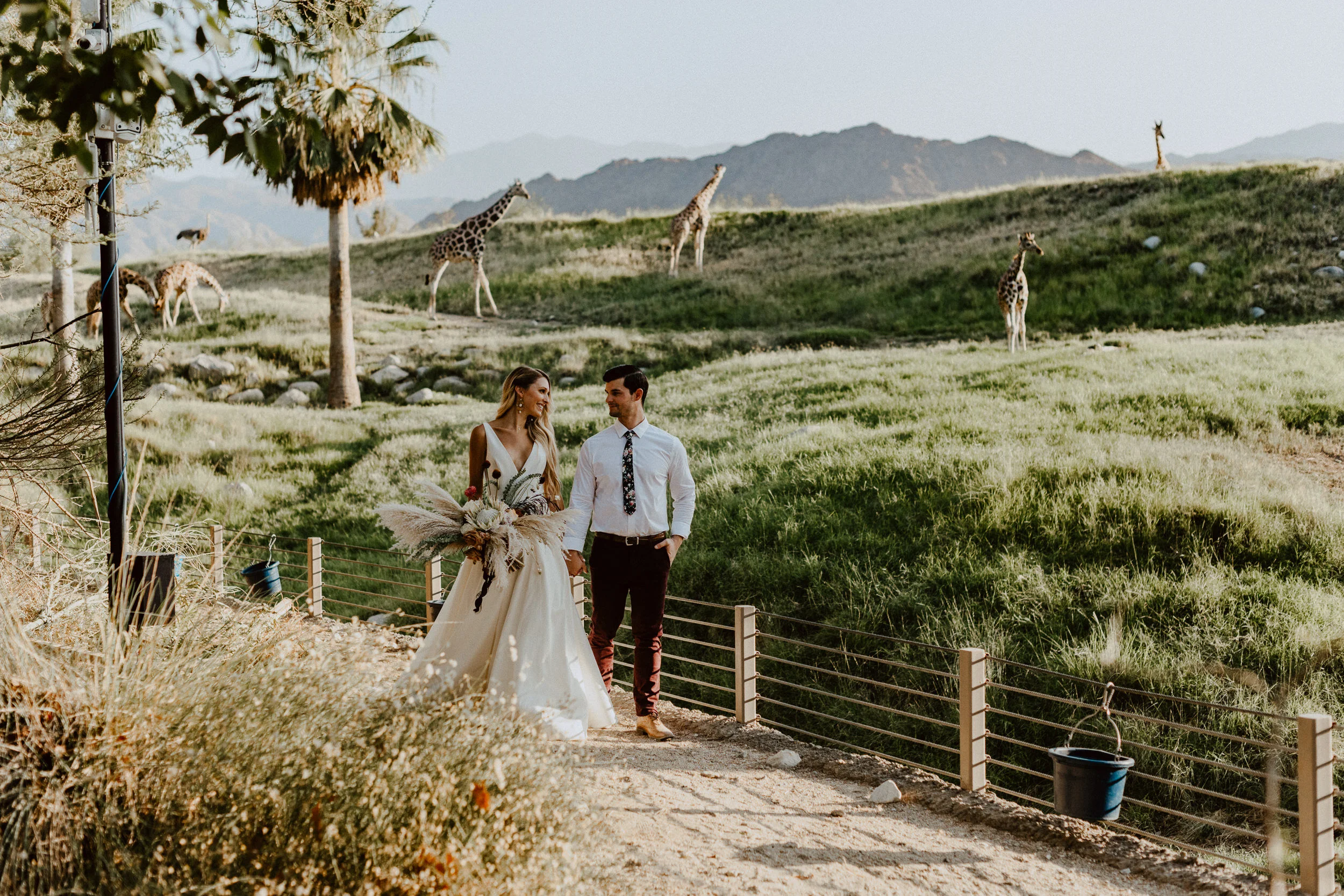 sChelsie + Chris - The Desert Shootout Wedding Romantics at The Living Desert-87.jpg