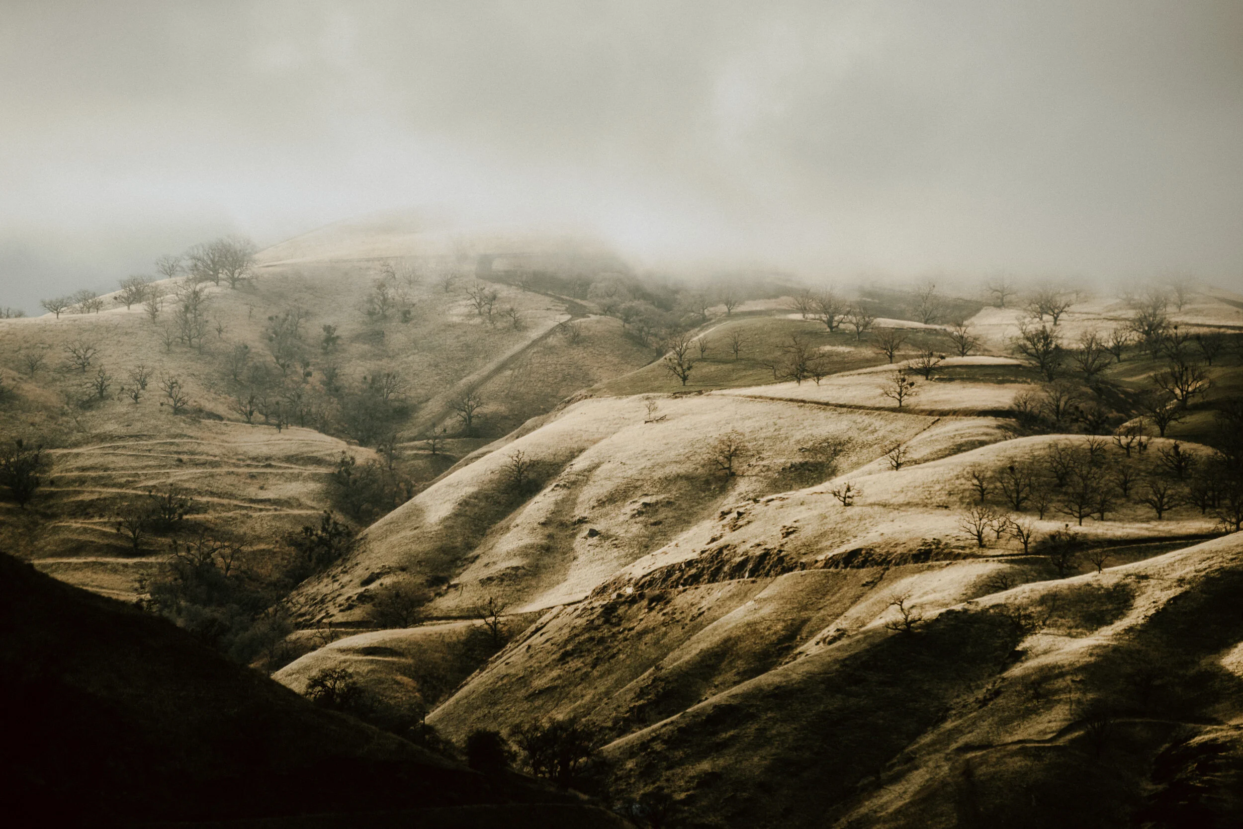 sYosemite to San Fran Road Trip-29.jpg