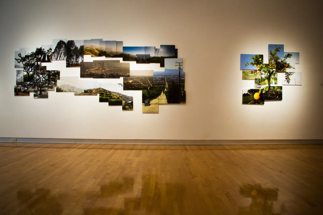 Alexis-Vaughn--Complete-Art-Thesis-Proj-2010.jpg