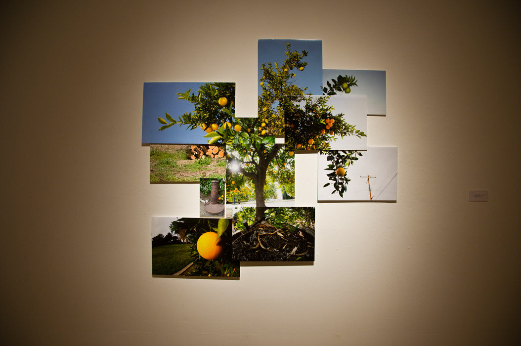AlexisVaughn-California'sSecondGoldRush-2010.jpg