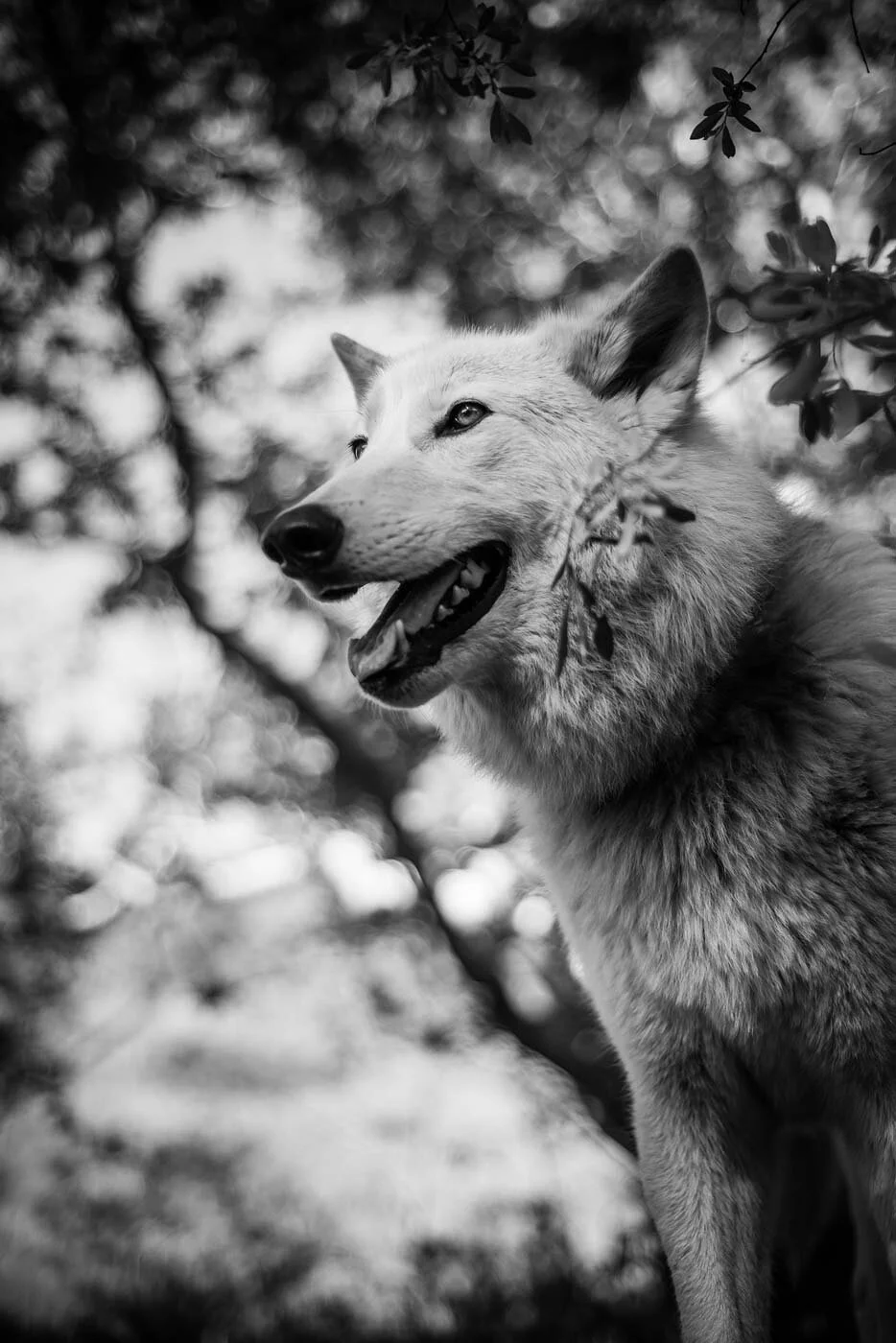sPhoto-Field-Trip-2016-620.jpg