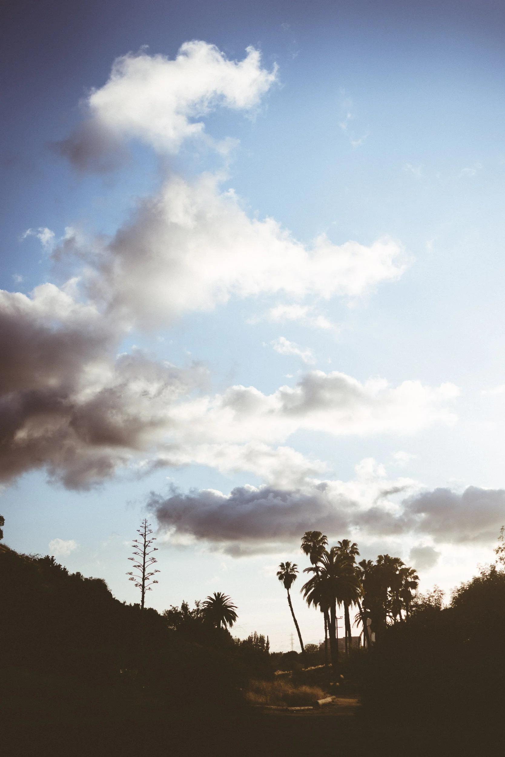 sErika + Daniel - Engagement-102.jpg