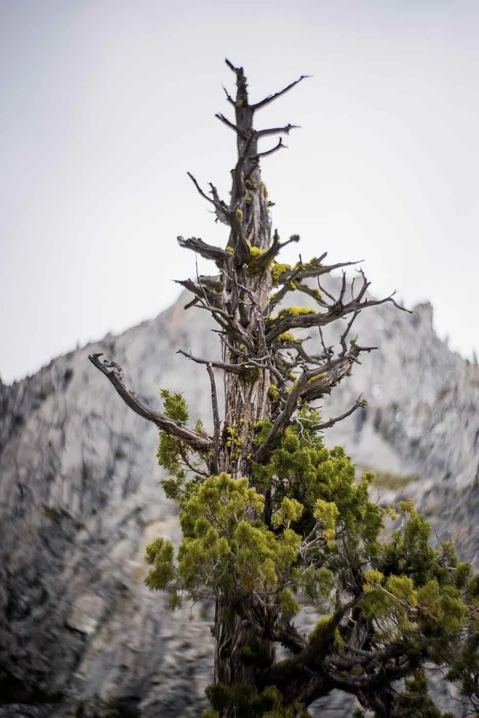 smlTahoeAdventure-May2015-217.jpg
