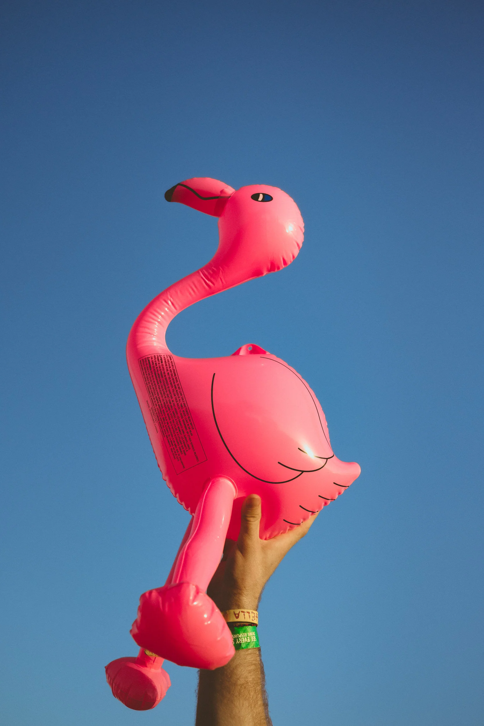 sCoachella 2017 - Weekend 1-68.jpg