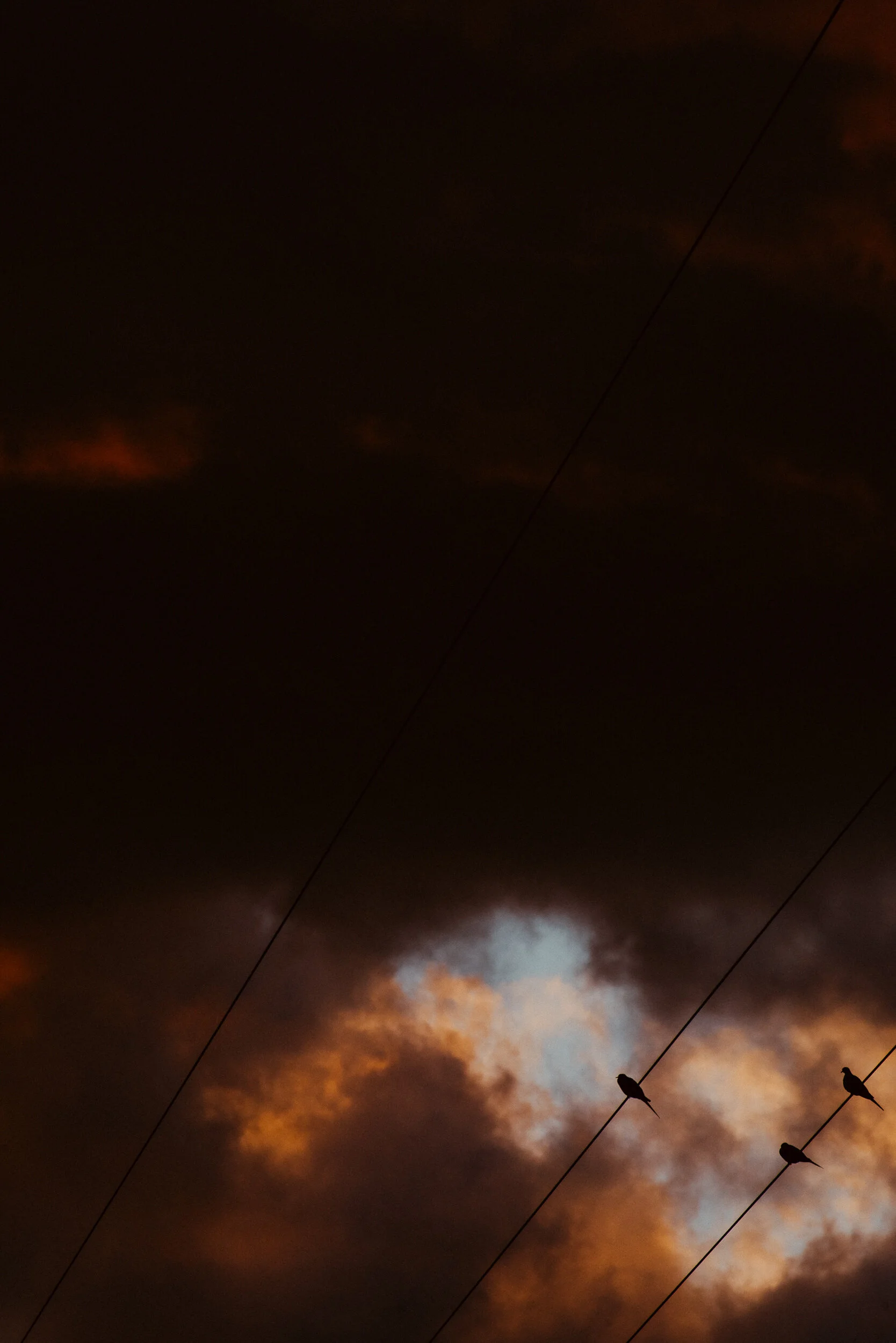 sAround the House - Feb 2019-10.jpg