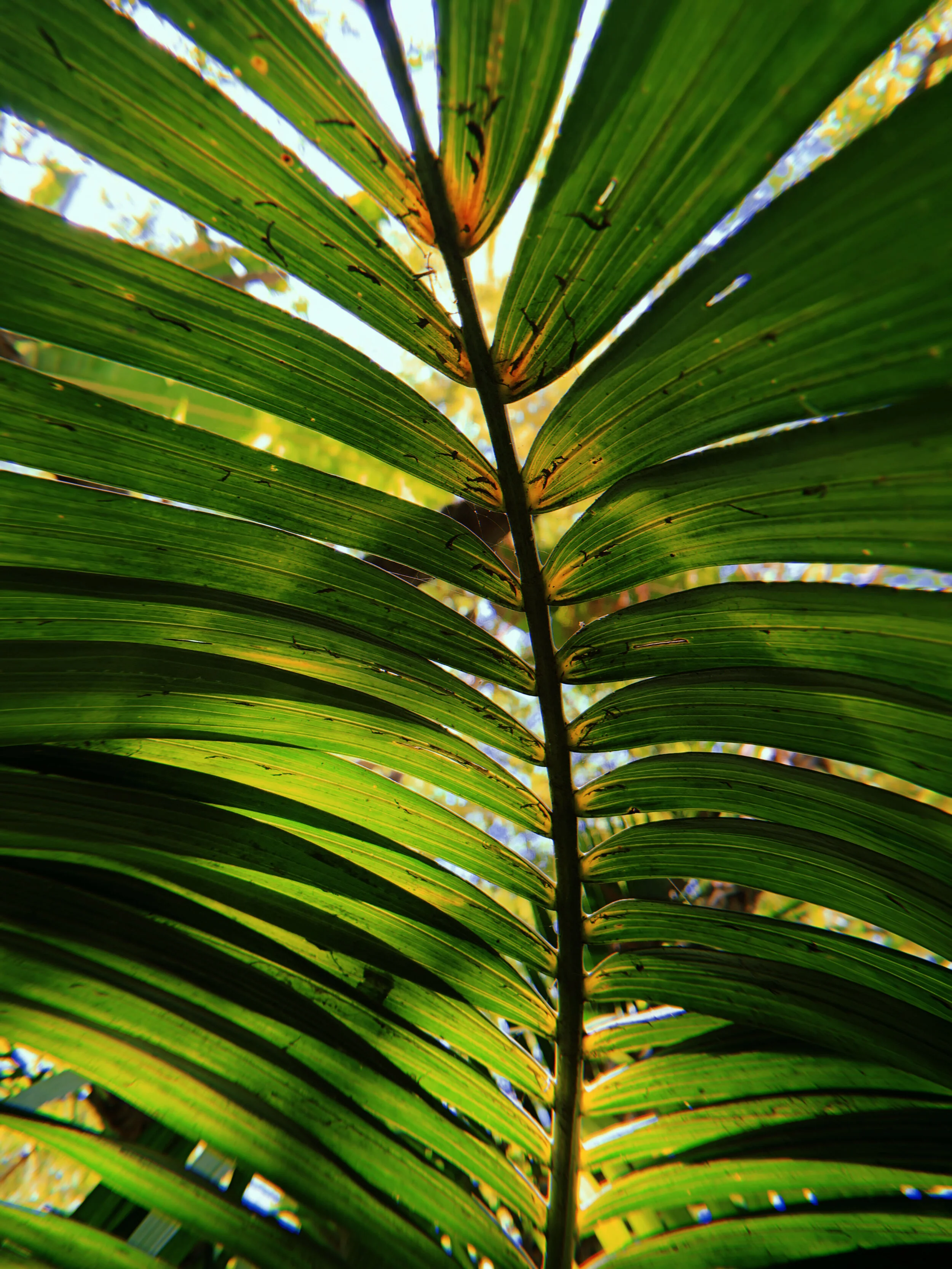 2019-10-13 12:08:33.990.JPG