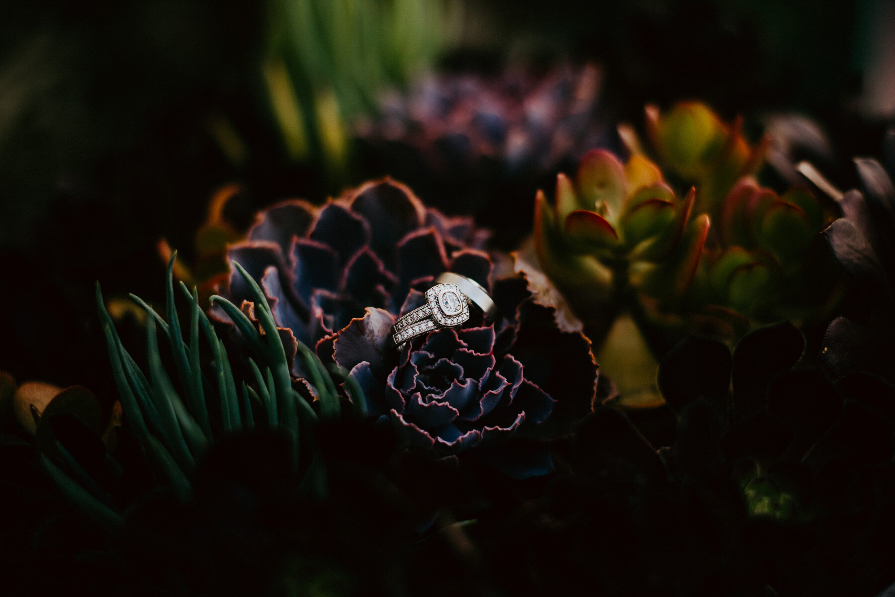 sAzalea + Carlos - Canary Hotel Santa Barbara Wedding-250.jpg