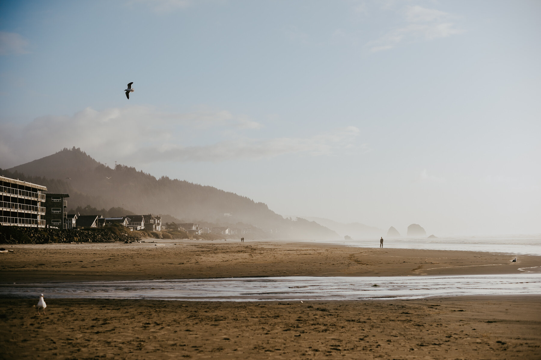 sKendra + Tim - Cannon Beach Oregon Wedding - IG Vaughntastic-99.jpg