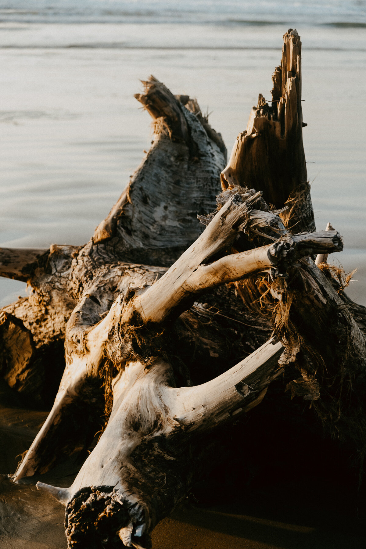 sKendra + Tim - Cannon Beach Oregon Wedding - IG Vaughntastic-152.jpg