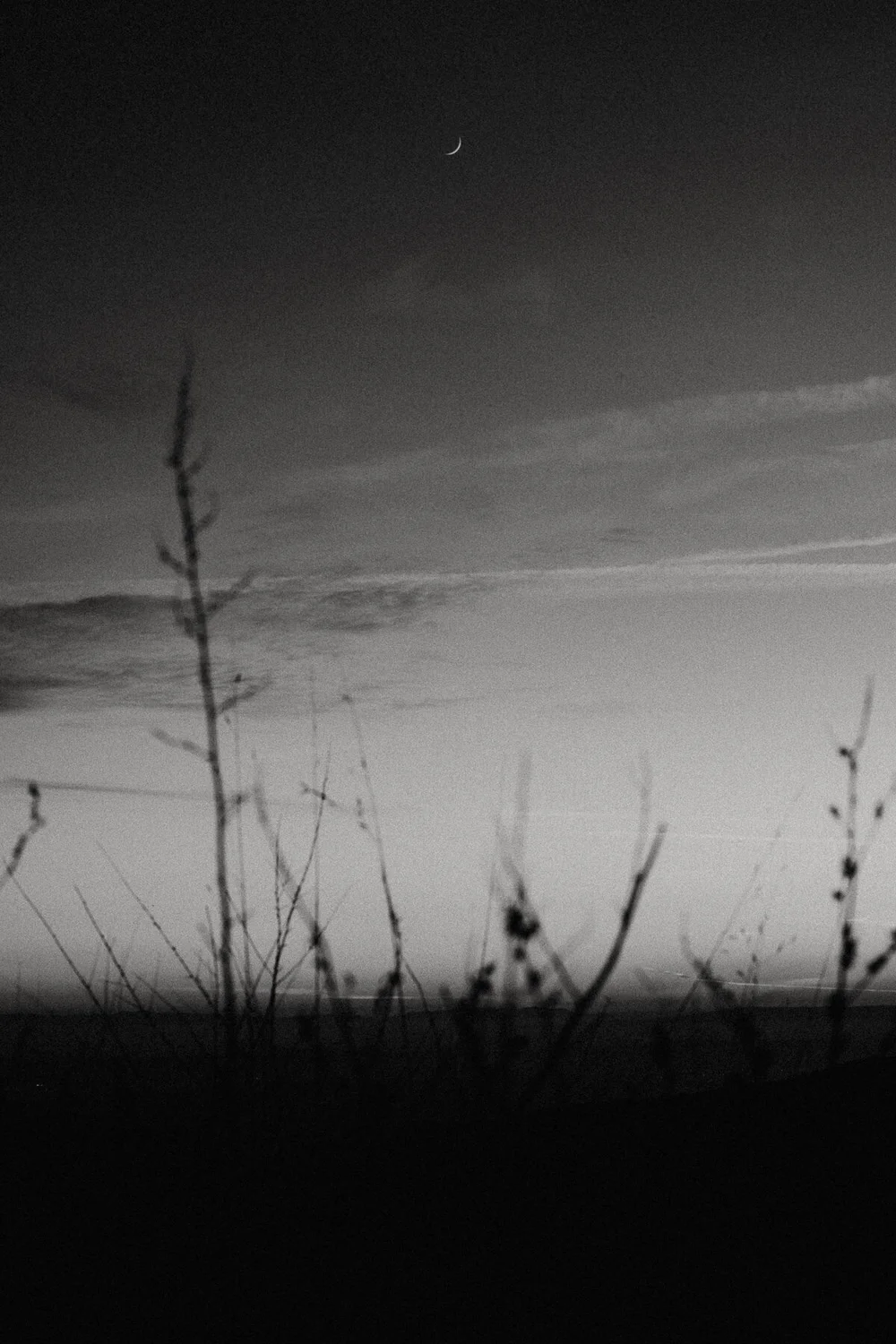 sBirthday Hike 2020-119.jpg