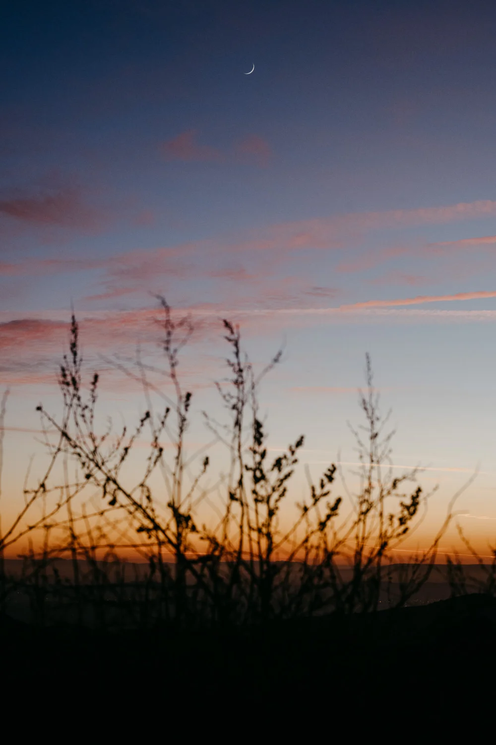 sBirthday Hike 2020-120.jpg