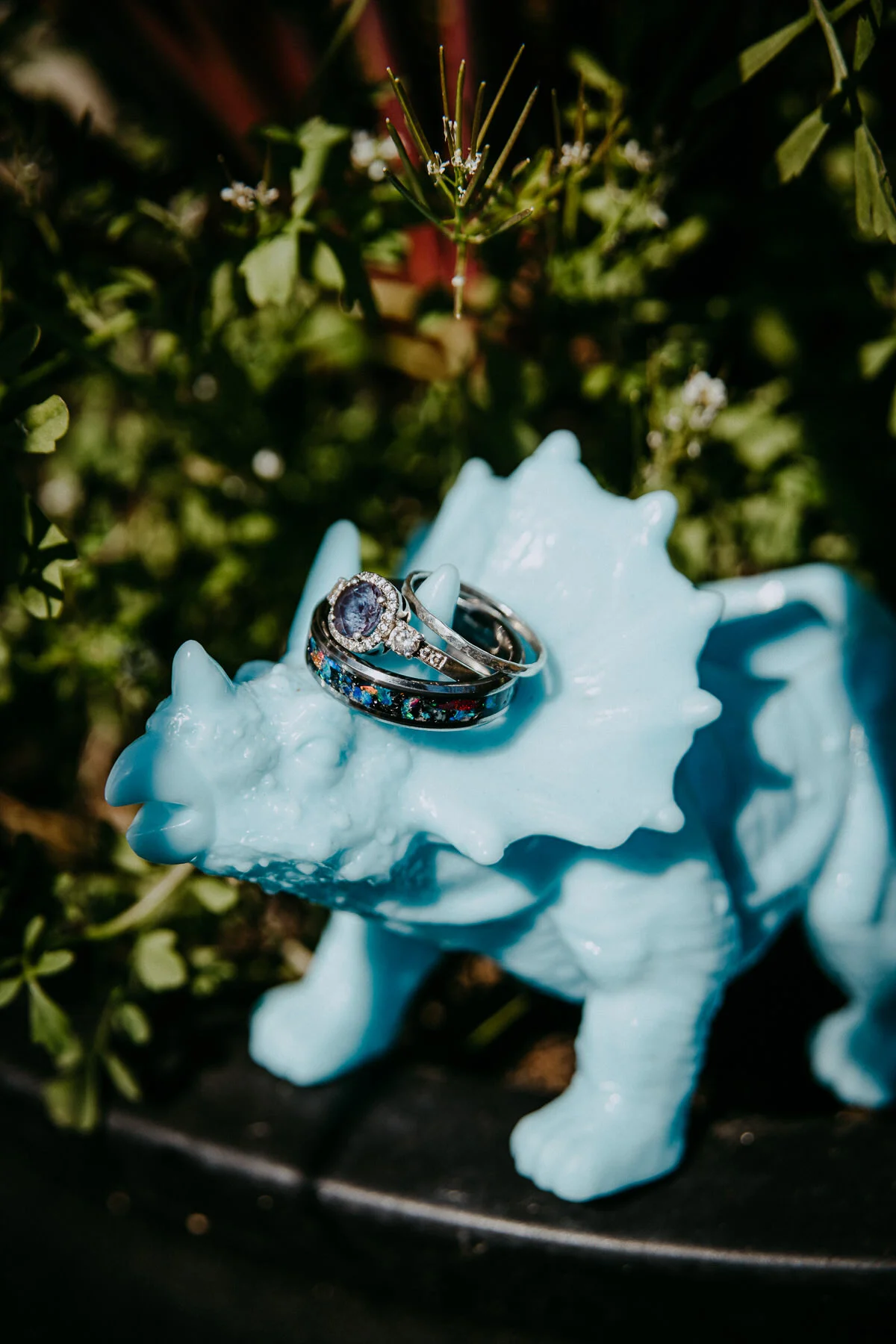 sElisa + Casey - Micro Wedding-22.jpg