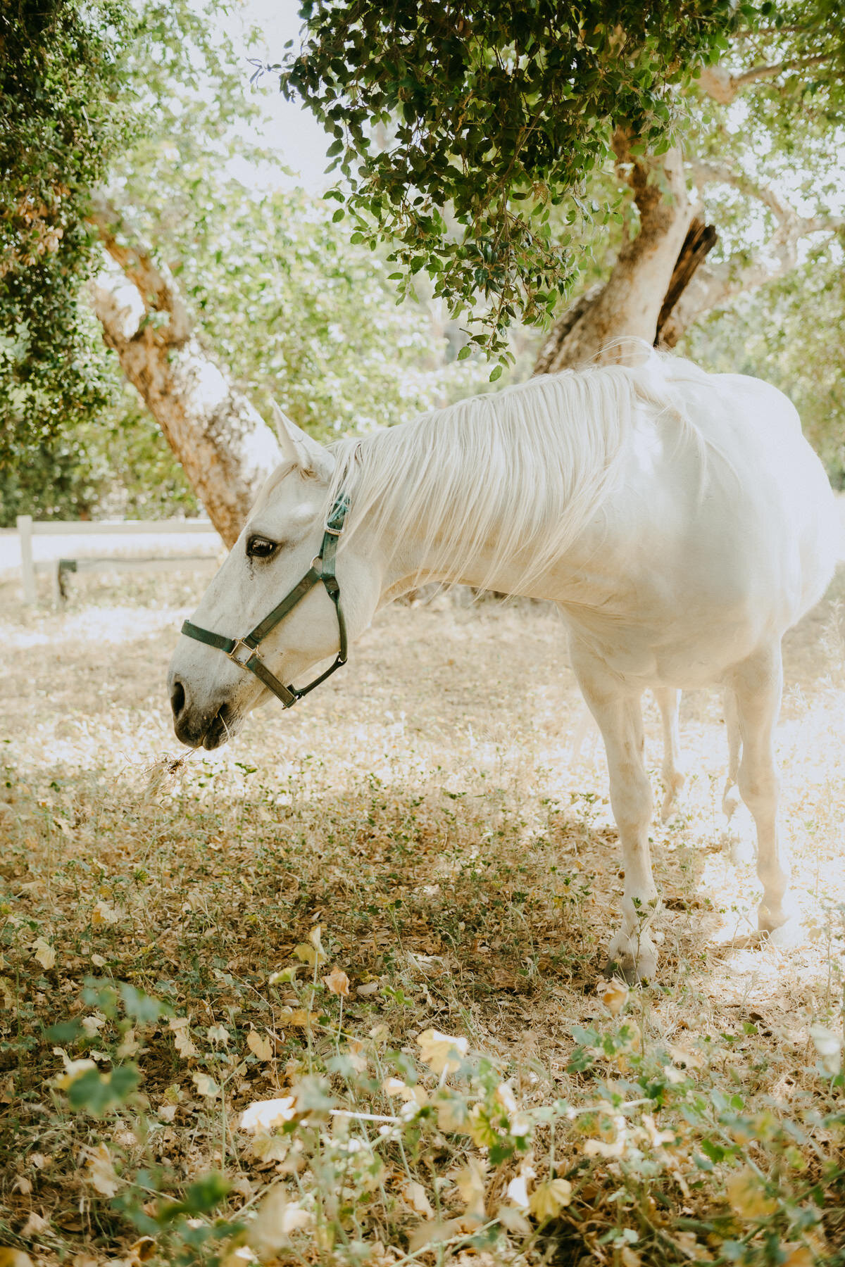 sTGS at Shadow Hills Ranch - IG Vaughntastic_06 BTS-4.jpg