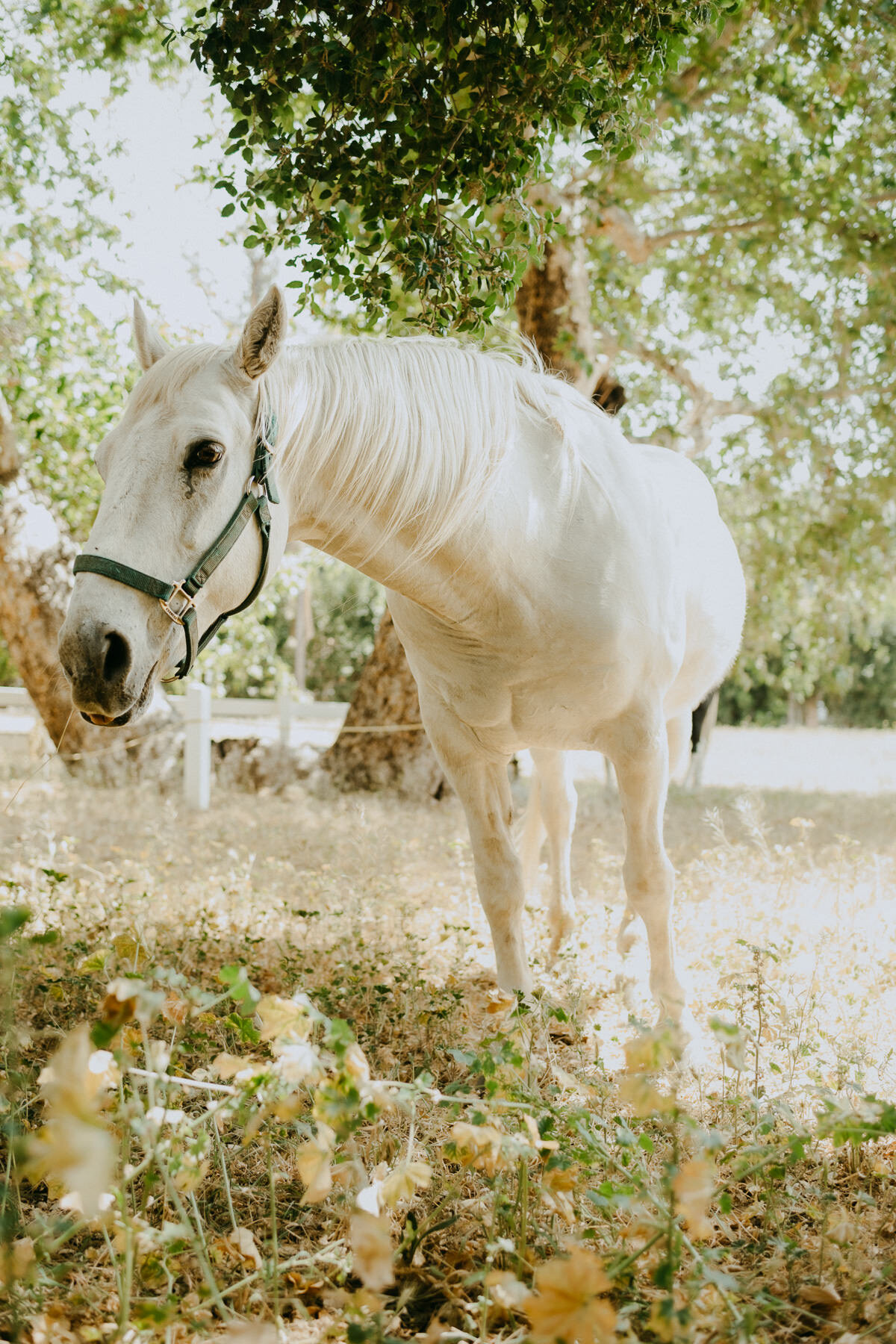 sTGS at Shadow Hills Ranch - IG Vaughntastic_06 BTS-5.jpg