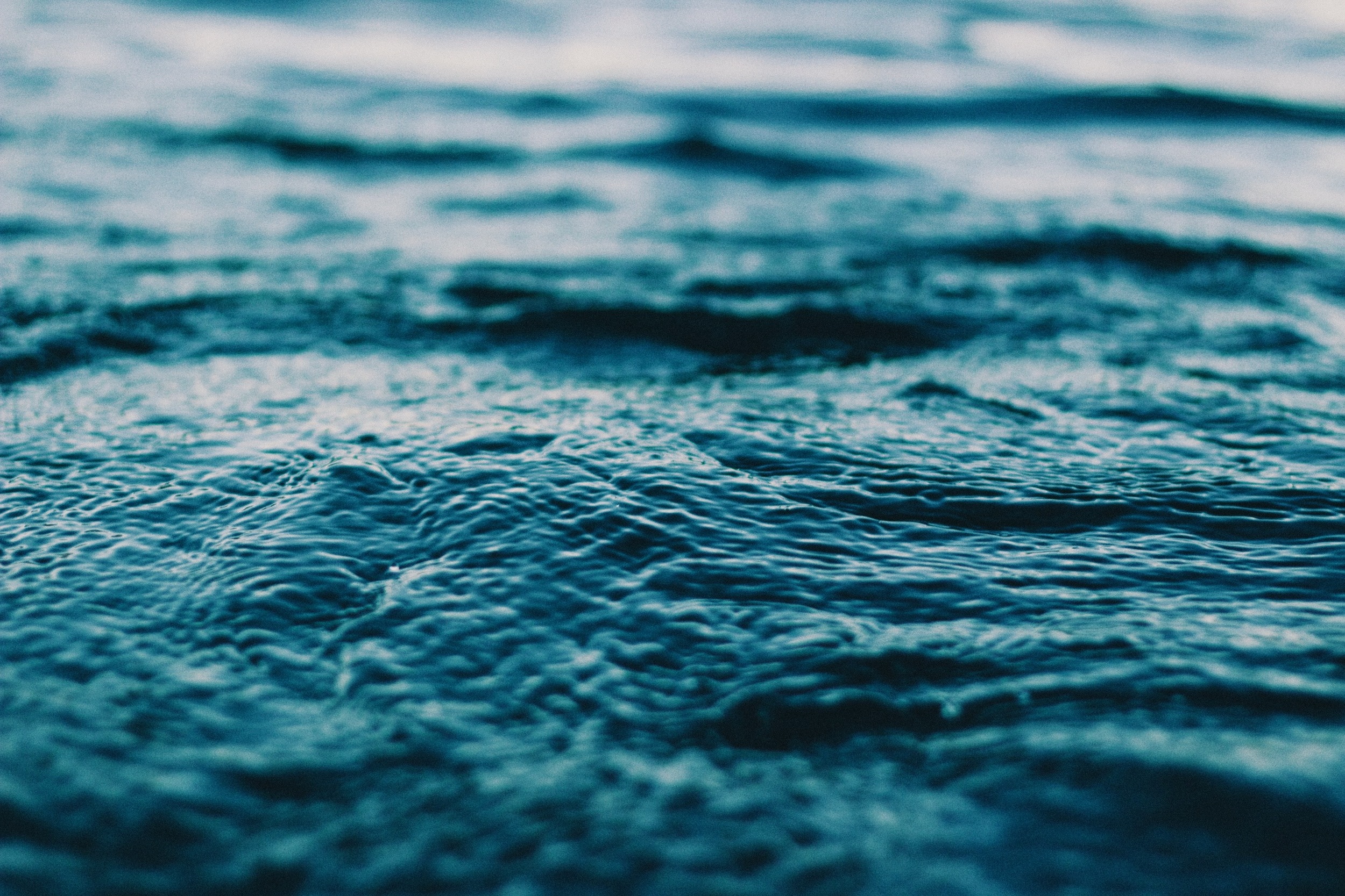 Photo credit: Unsplash