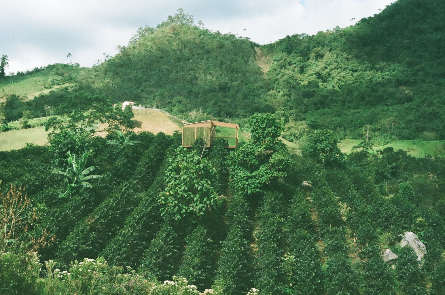 LA PALMA Y EL TUCAN Estate, taken during our Colombia origin trip in August 2015. 