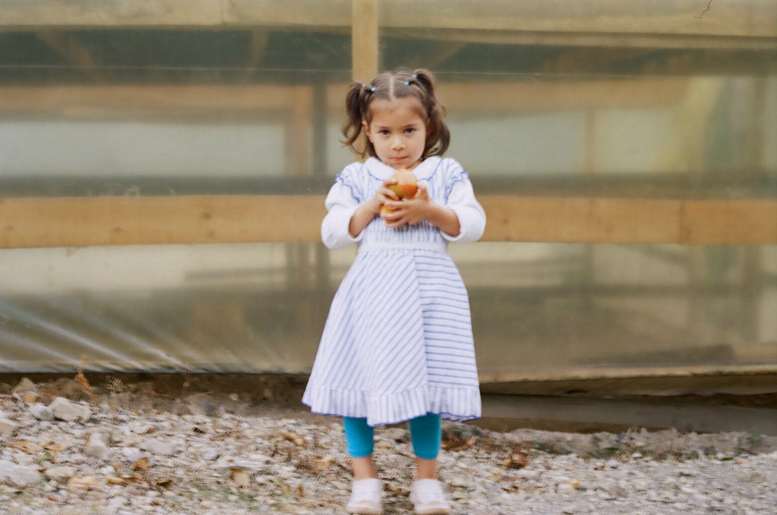Isabella, armed with fresh tomatoes grown on LPET's farmland.