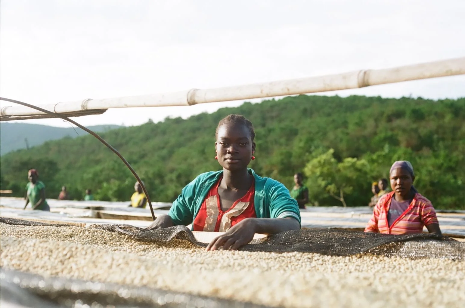  Gesha Village, Southwest Ethiopia, 2015 