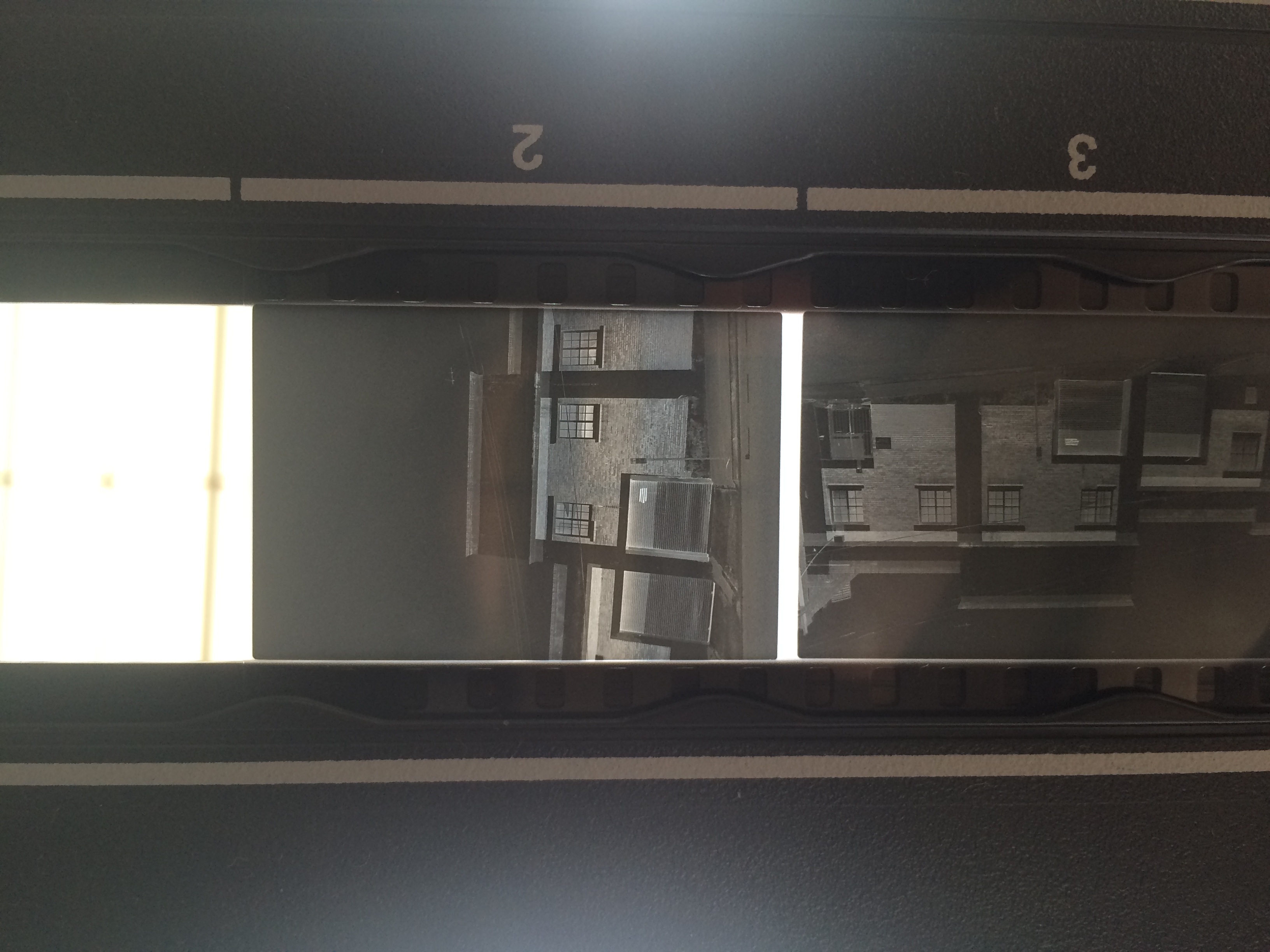 The film strip (Fuji Neopan 400) in the scan holder. Select "2" for scanning @ 6400dpi. Light source - my window.