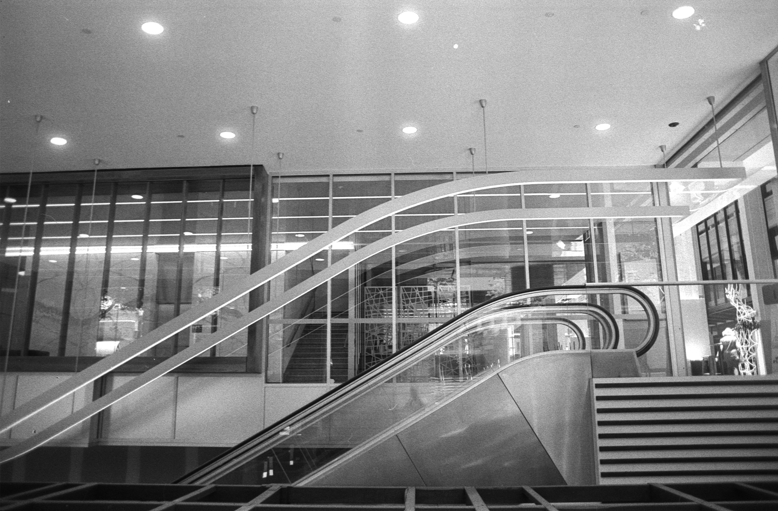 Modern Lines. 28mm Sigma FD Lens. QA GOMA (Queensland Art Gallery, Gallery of Modern Art. - the Modern bit. Escalators, be it up or down. They do it both. Getting people where they need to be get. Lines and light. Natural light pouring in from the right. A glimpse of a perfect, sunny Brisbane day. Or a barrier from it's not.