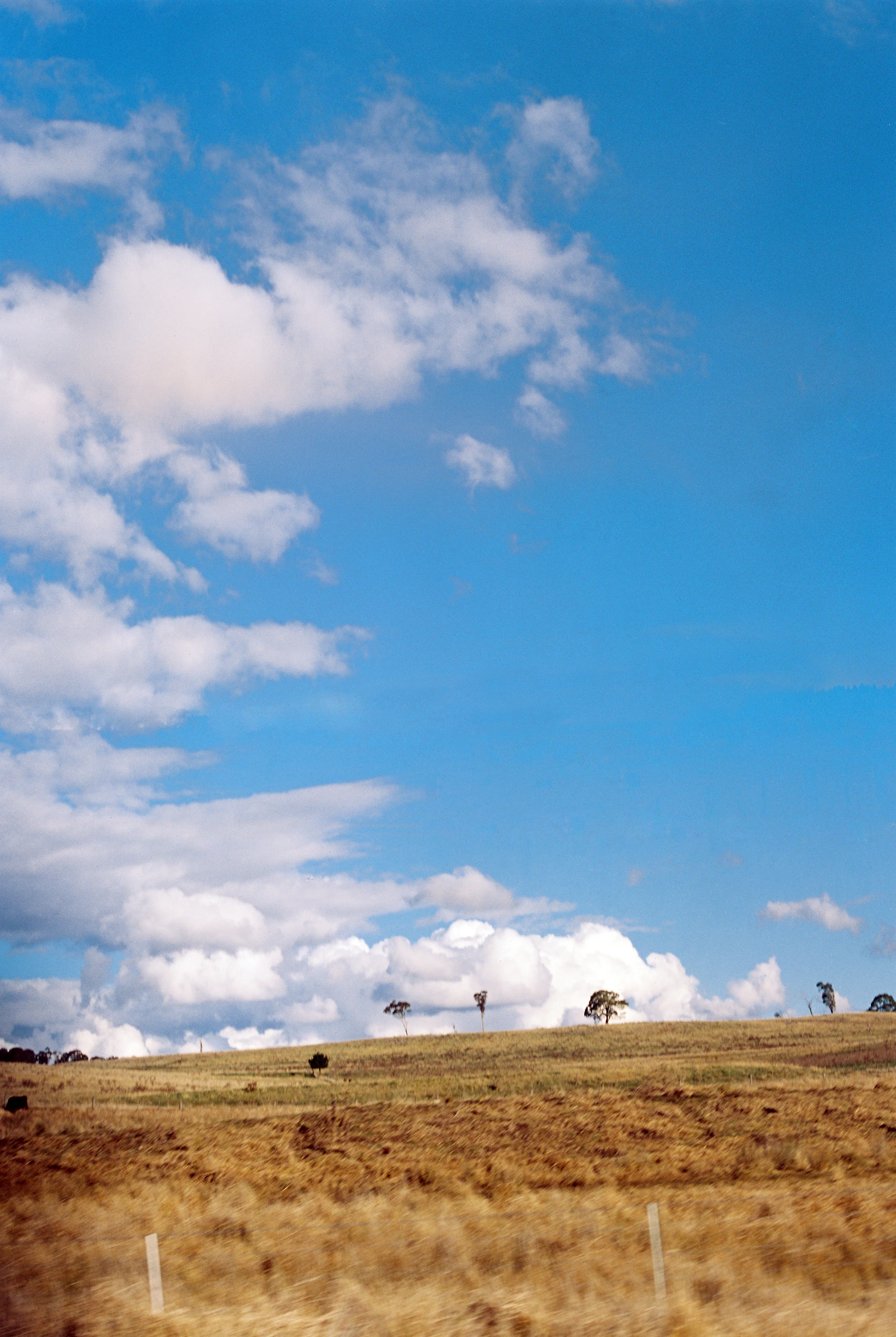 1091-10c.jpg