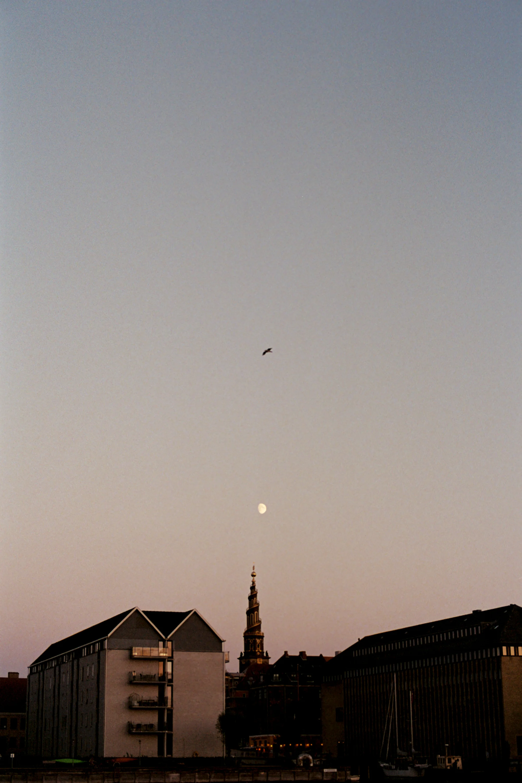 RQT-13 (2).jpg