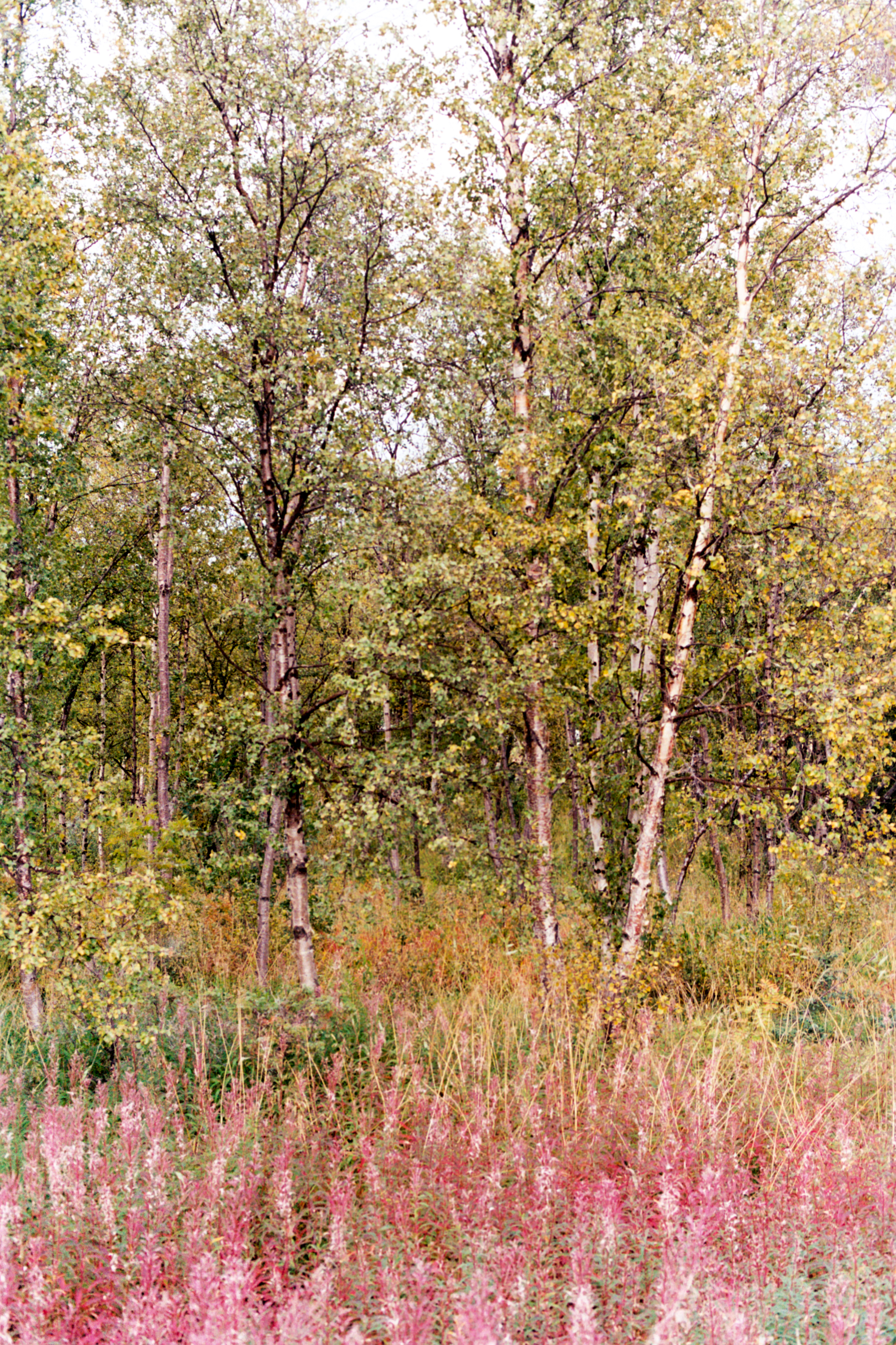 RQT-22.jpg