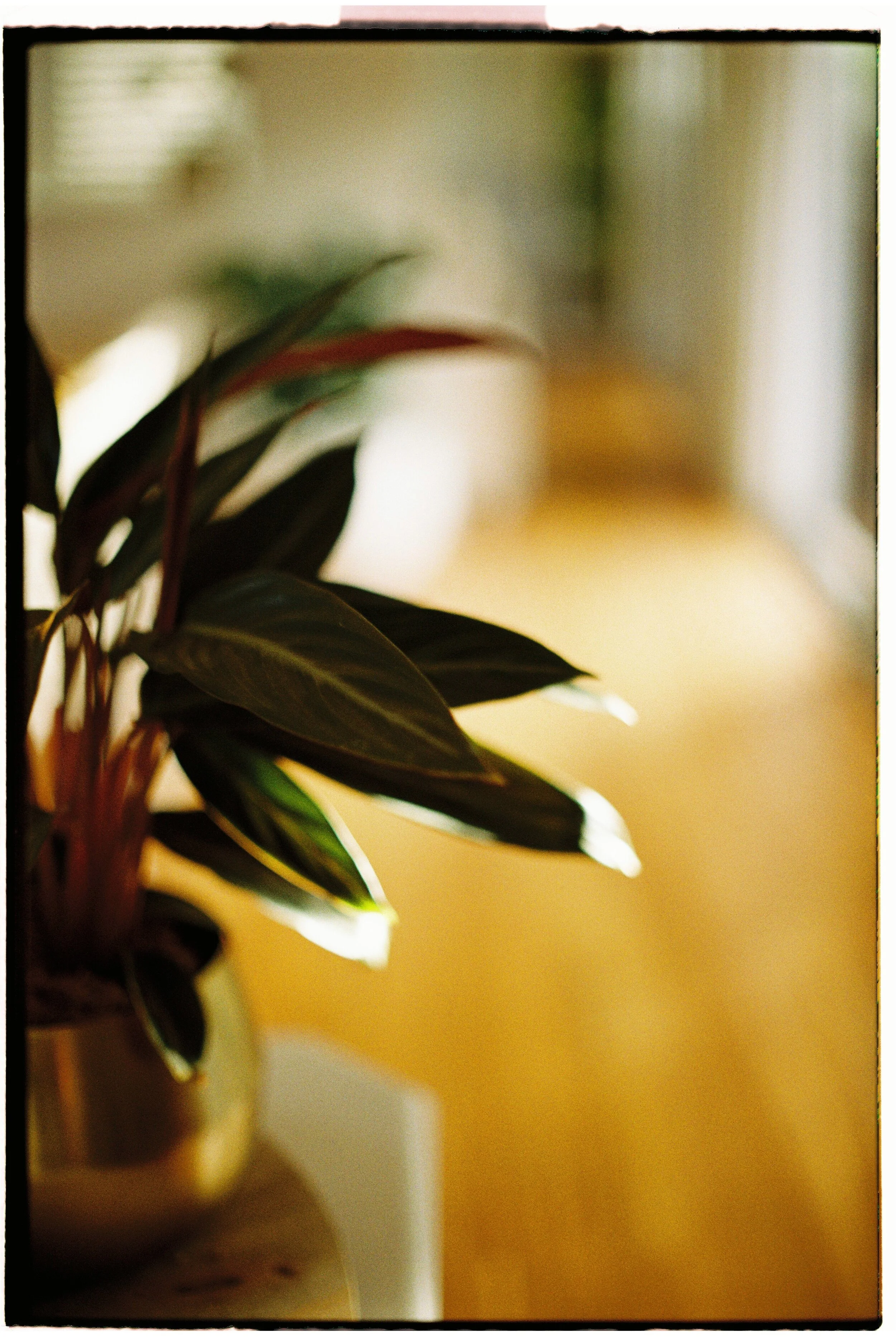 C20C17AF-6E46-4623-8D08-4C37EEF1DE82.JPG