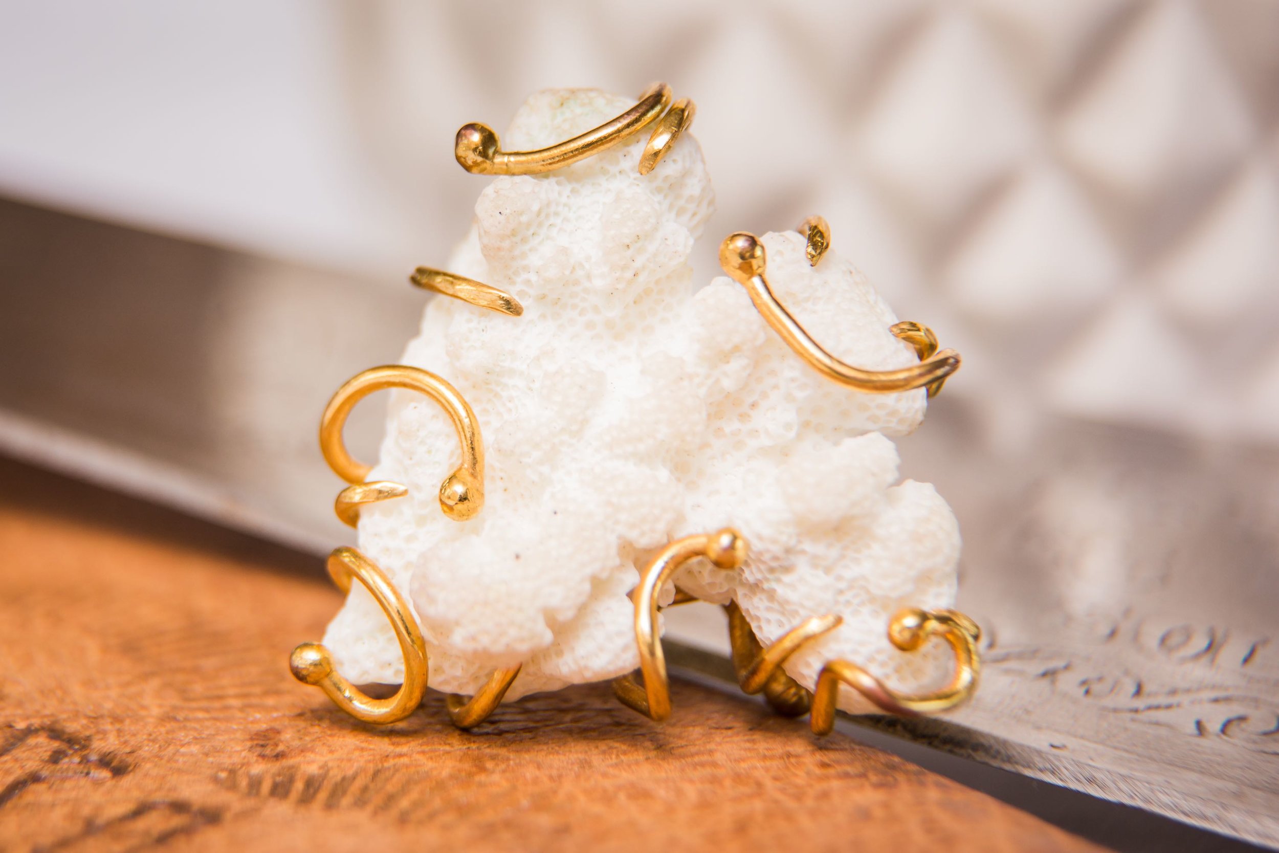 AH coral ring copy 1.jpg