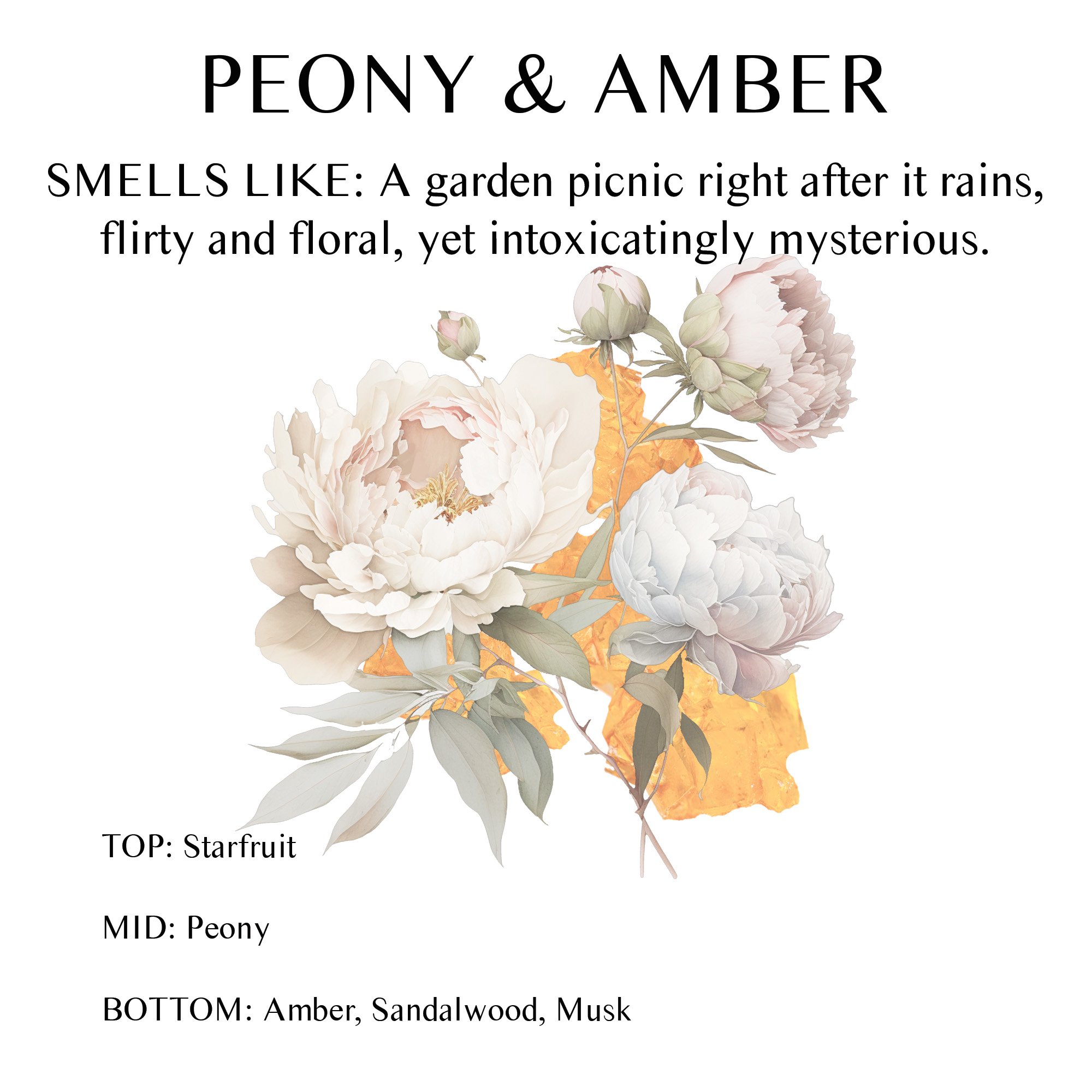 Peony and Amber_scent profile.jpg