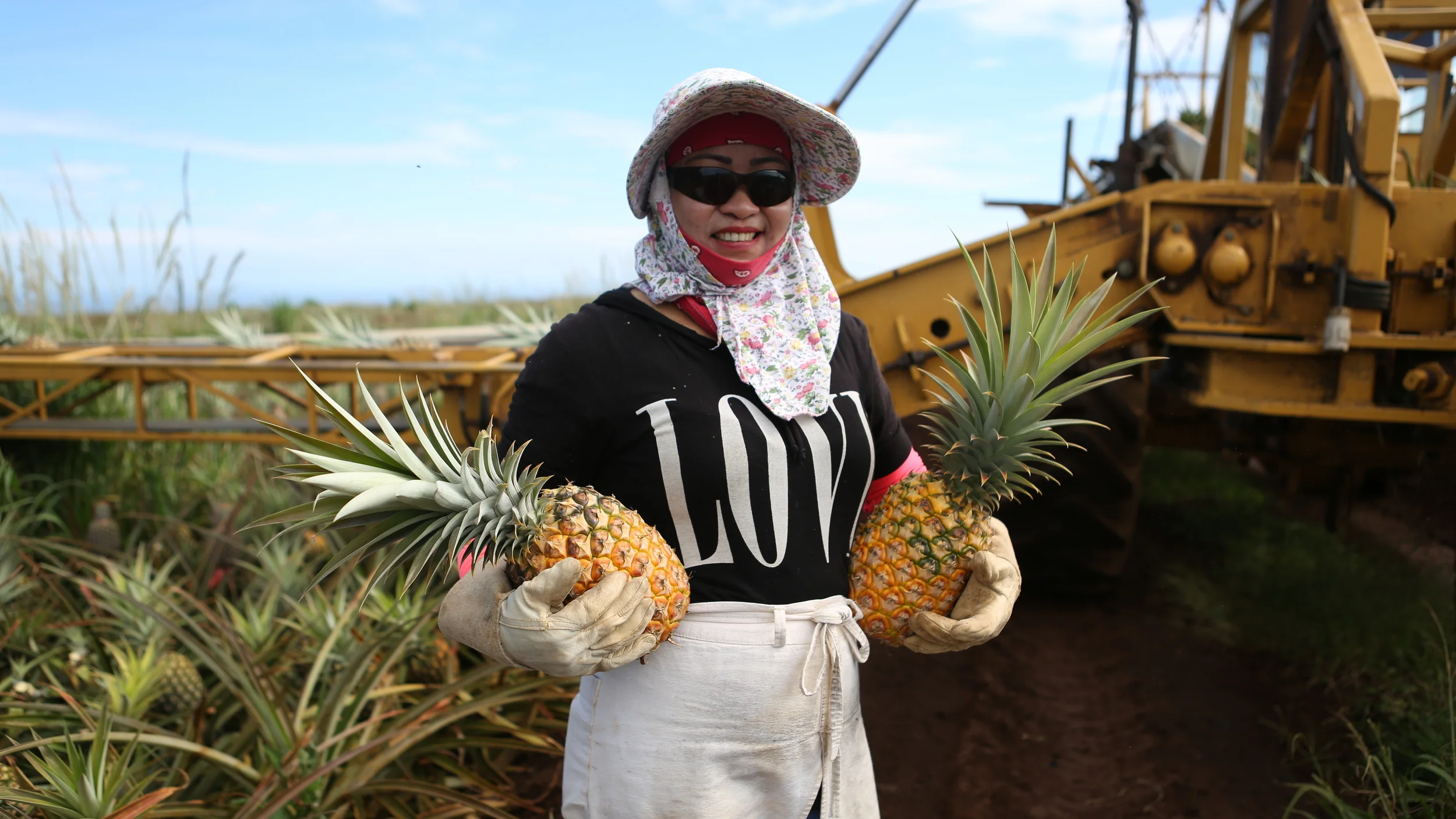  When the Maui Land &amp; Pineapple Company was forced to close down its last pineapple farm in 2009, Maui was on the brink of disappearing from the pineapple industry. After 100 years of providing jobs to families on the island, a group of dedicated