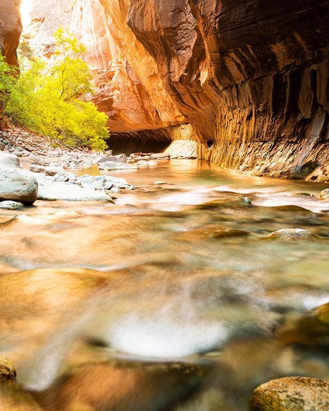 Thinking back on the Narrows in Zion NP. First into the river that day to get pristine views.