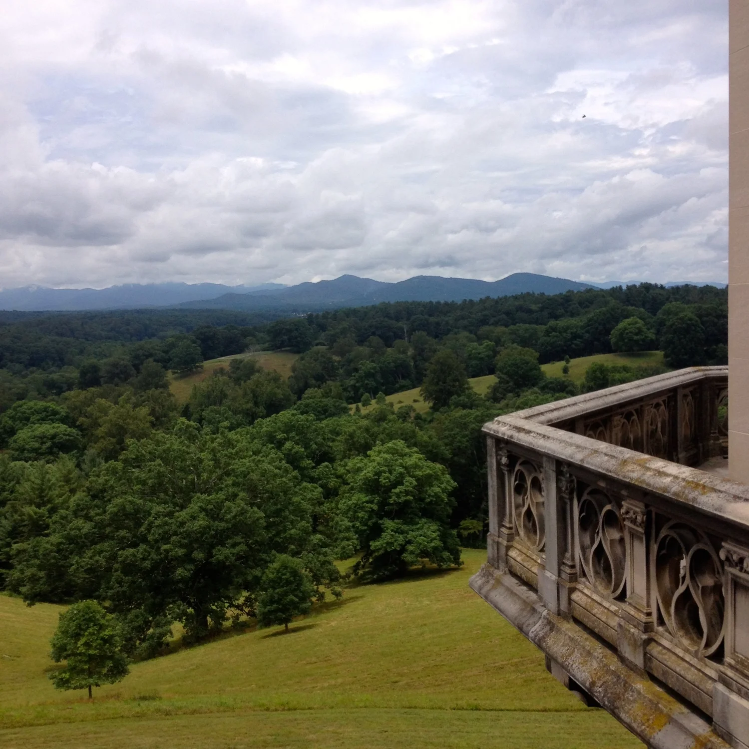beautiful NC view.jpeg