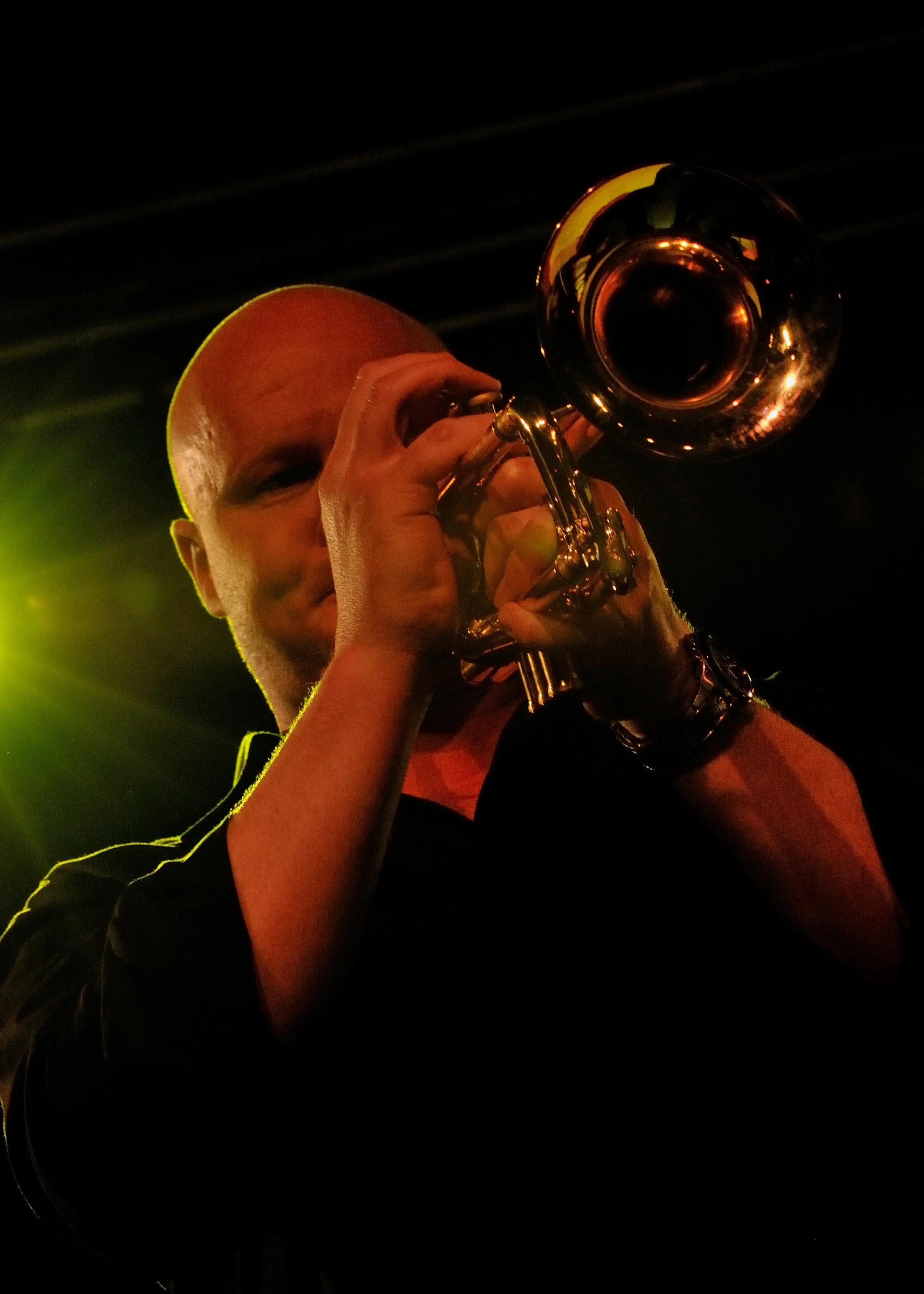 Andy Greenwood 2.jpg