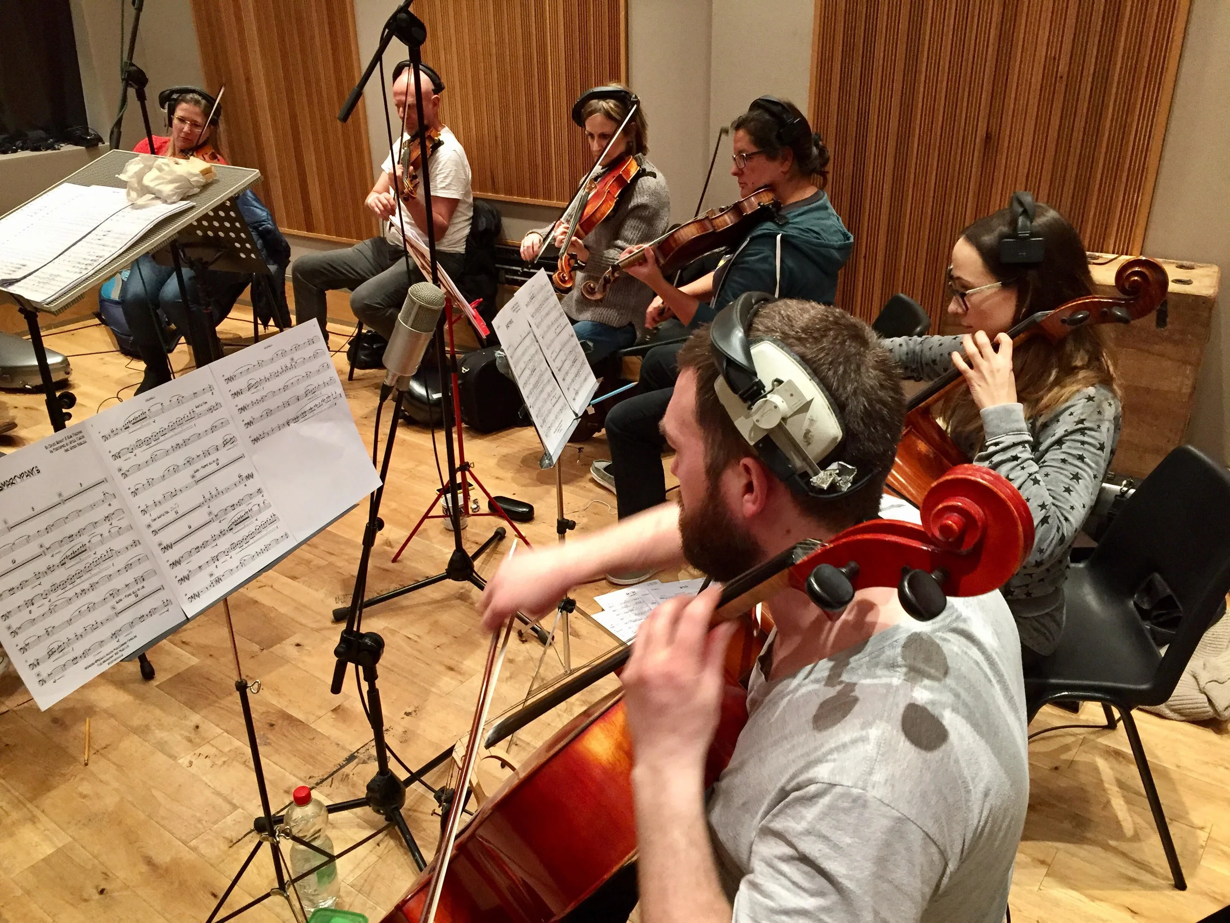 Spice Fusion Strings 4.jpg