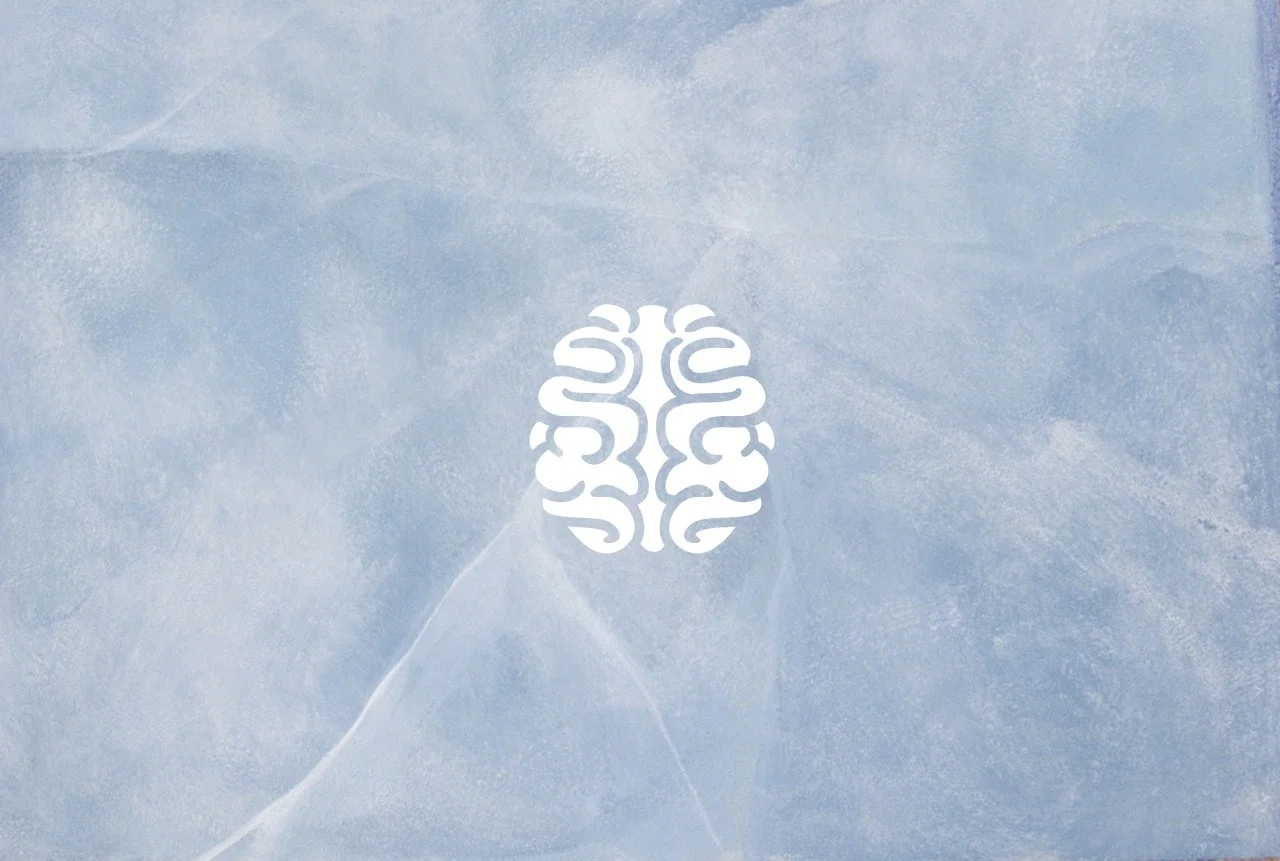 Intensions in Community Mental Health Journal