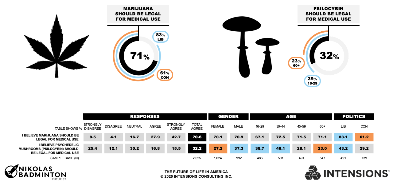 Future of Life in America - Drug Legalization