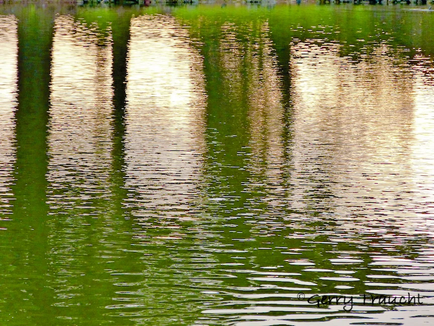 24x18 GerryTraucht_Reflections.jpg