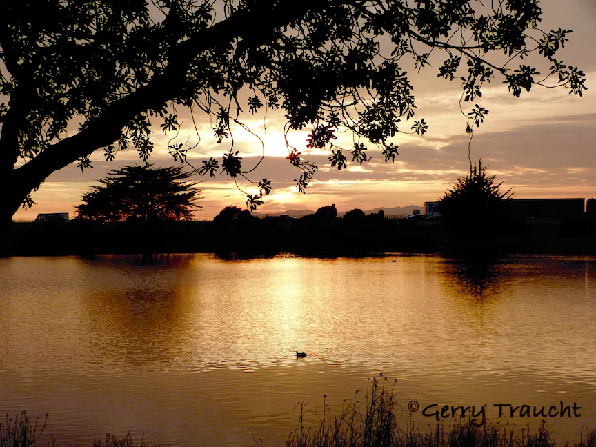GerryTraucht_Sunset.jpg