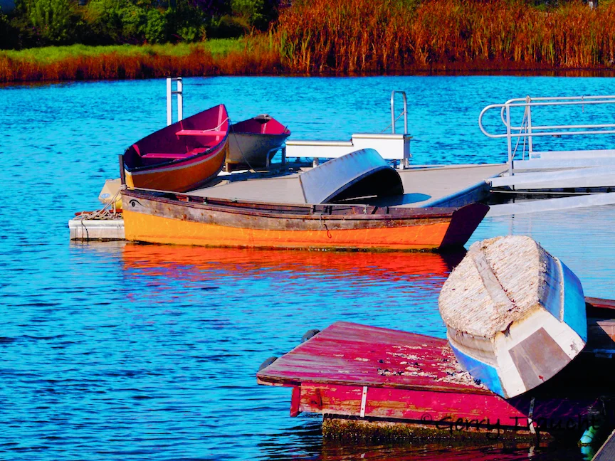 GerryTraucht_The Row Boats.jpg