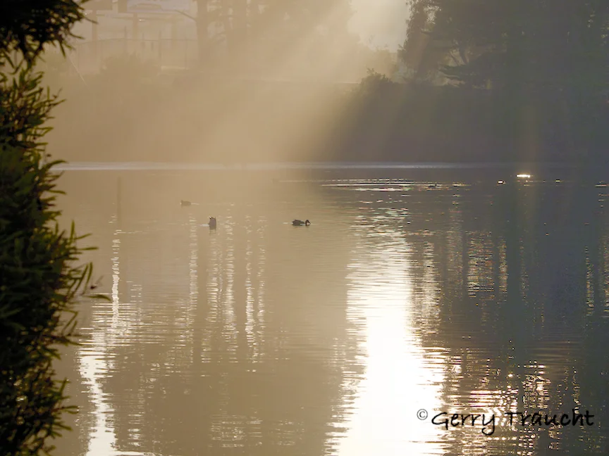 GerryTraucht_LagoonBathedinSunbeams.jpg