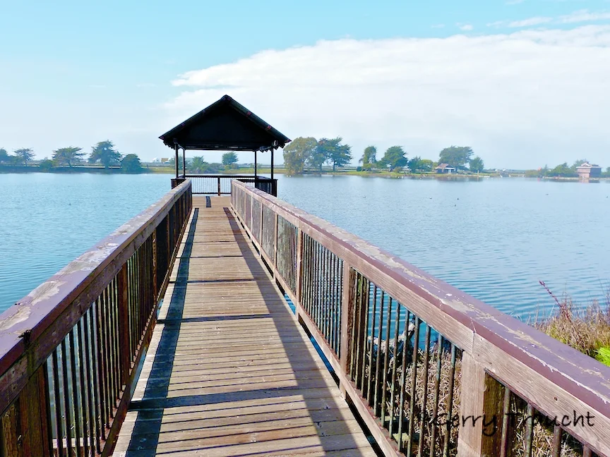 GerryTraucht_Meditation Dock.jpg