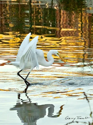 THE GUARDIAN