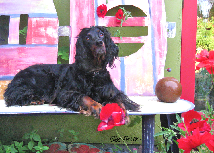 Shania Fidler in Poppy Garden 2010.png