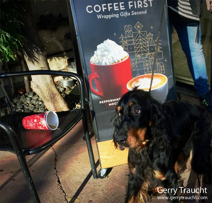 GerryTraucht_CoffeeFirst_405-2.jpg