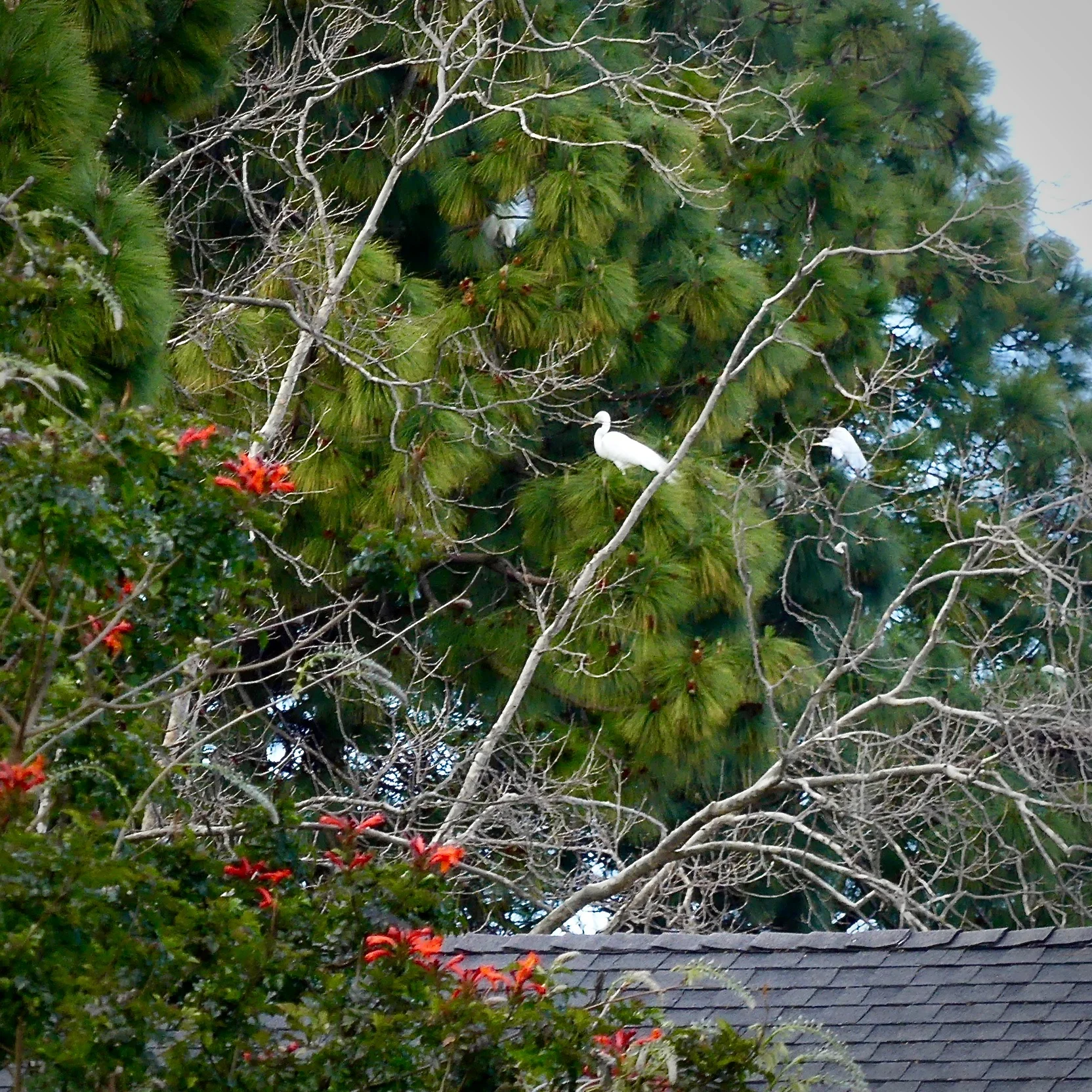 P1080279.jpg