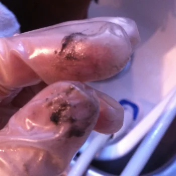  Residue washed out of Locs. 